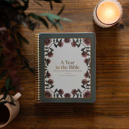 A Year in the Bible | 365 Days of Discovering the Beauty of Jesus from Genesis to Revelation