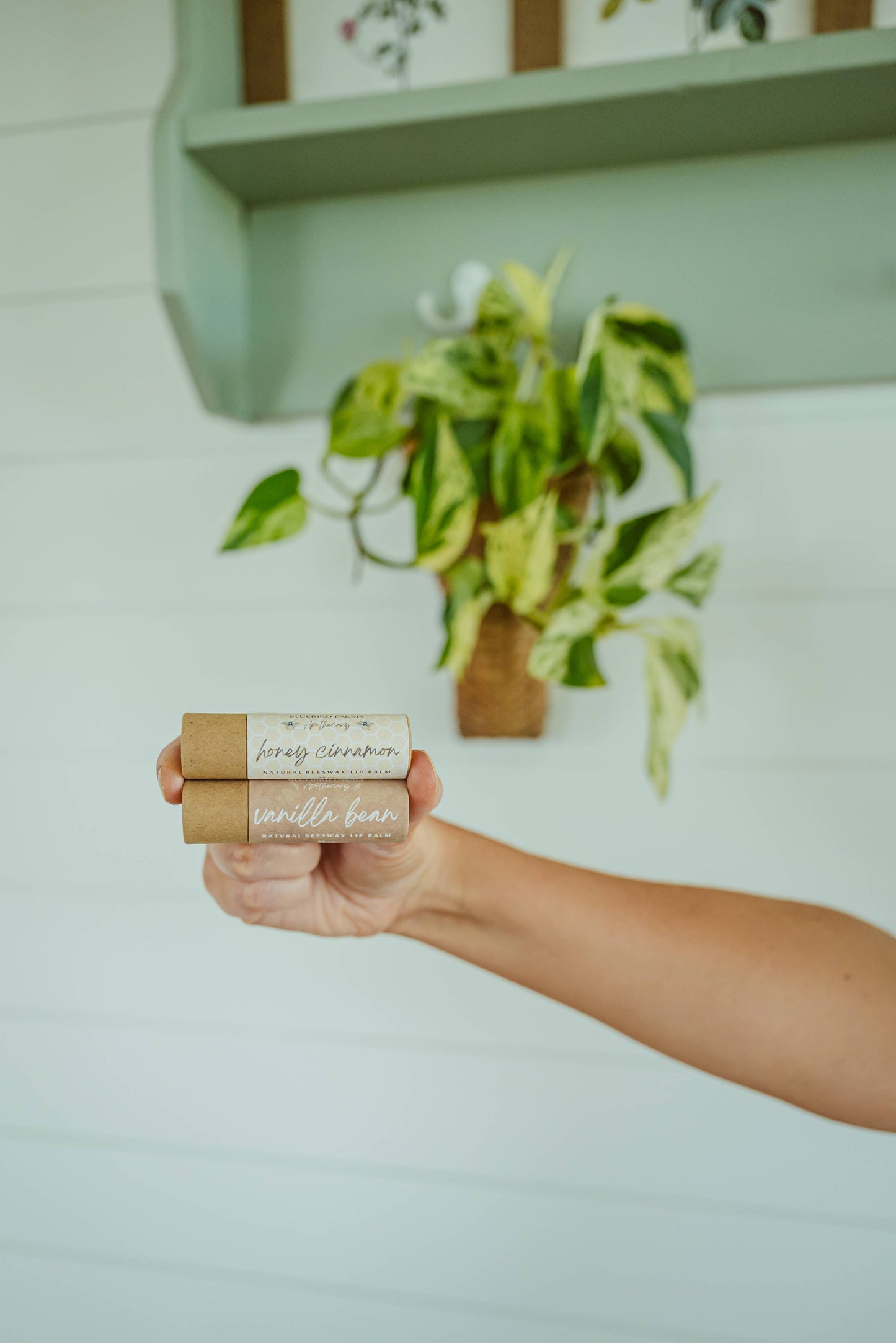 Beeswax Lip Balm Plastic-Free: Vanilla Coconut